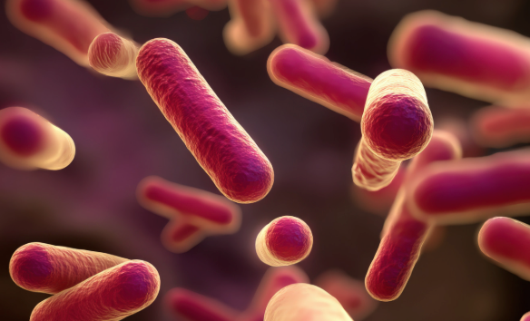Why Fibre Matters for Gut Health — And Why One Type Isn’t Enough
